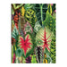 Galison | Houseplant Jungle Greeting Assortment Notecards
