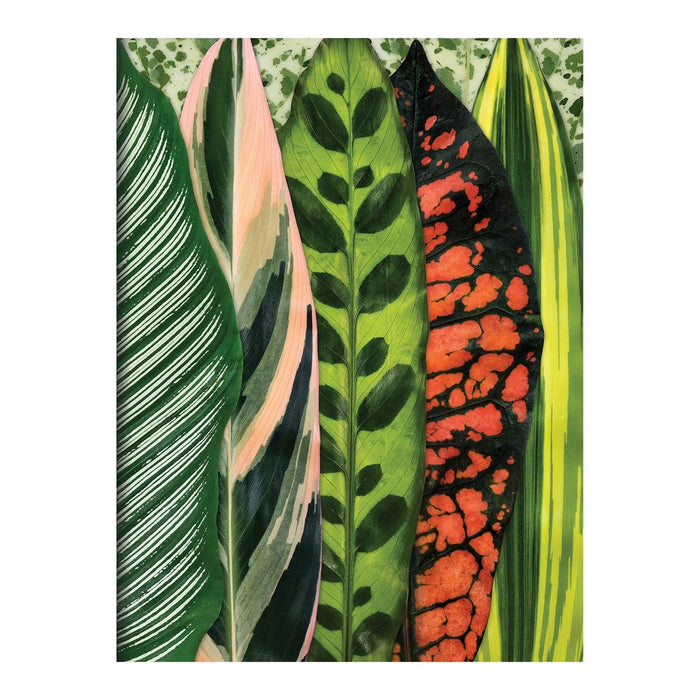 Galison | Houseplant Jungle Greeting Assortment Notecards