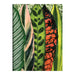 Galison | Houseplant Jungle Greeting Assortment Notecards