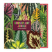 Galison | Houseplant Jungle Greeting Assortment Notecards