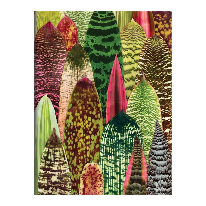 Galison | Houseplant Jungle Greeting Assortment Notecards