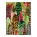 Galison | Houseplant Jungle Greeting Assortment Notecards