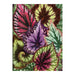 Galison | Houseplant Jungle Greeting Assortment Notecards