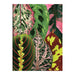 Galison | Houseplant Jungle Greeting Assortment Notecards