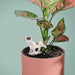 NPW | Pee My Plants Dog Watering Decoration Multi-Coloured