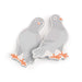 Fred | Messenger Pigeons Sticky Notes 2pcs Set Multi-Coloured