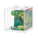 Discovery Zone | 3D Sensory T‑Rex 36pcs Assorted