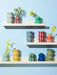 Jones & Co | Fonda Burgundy Pale Blue Stripe Vase Homing Instincts