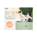 NPW | Pee My Plants Dog Watering Decoration Multi-Coloured