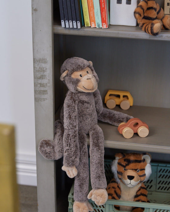Nana Huchy | Mani The Monkey
