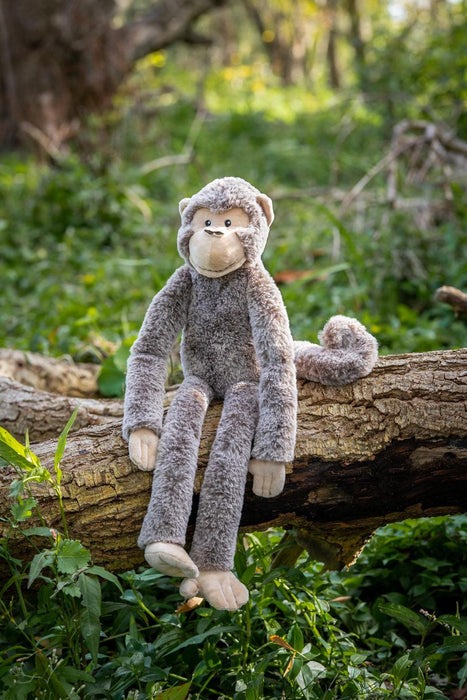 Nana Huchy | Mani The Monkey
