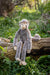 Nana Huchy | Mani The Monkey