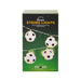 Discovery Zone | Illuminate String Lights Soccer LED 10‑Ball Set