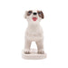 NPW | Pee My Plants Dog Watering Decoration Multi-Coloured