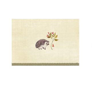 Peter Pauper Press | Note Card Set - Hedgehog