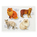 Brass Monkey | Moody Cats 1000‑Piece Multi‑Colour Jigsaw Puzzle Homing Instincts