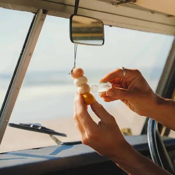 Smelly Balls | Sun Seeker Smelly Balls With Coconut + Lime Fragrance Homing Instincts