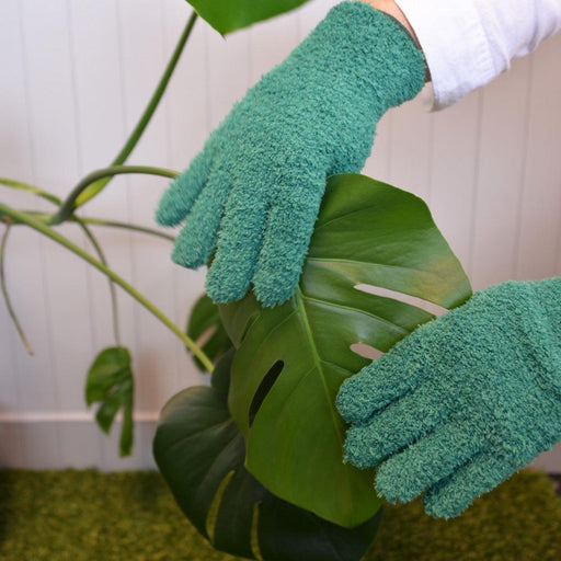 Annabel Trends | Sprout Microfibre Leaf Cleaning Gloves