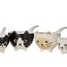 Davis & Waddell | Whiskers Colorful Measuring Cups Set of Four Homing Instincts