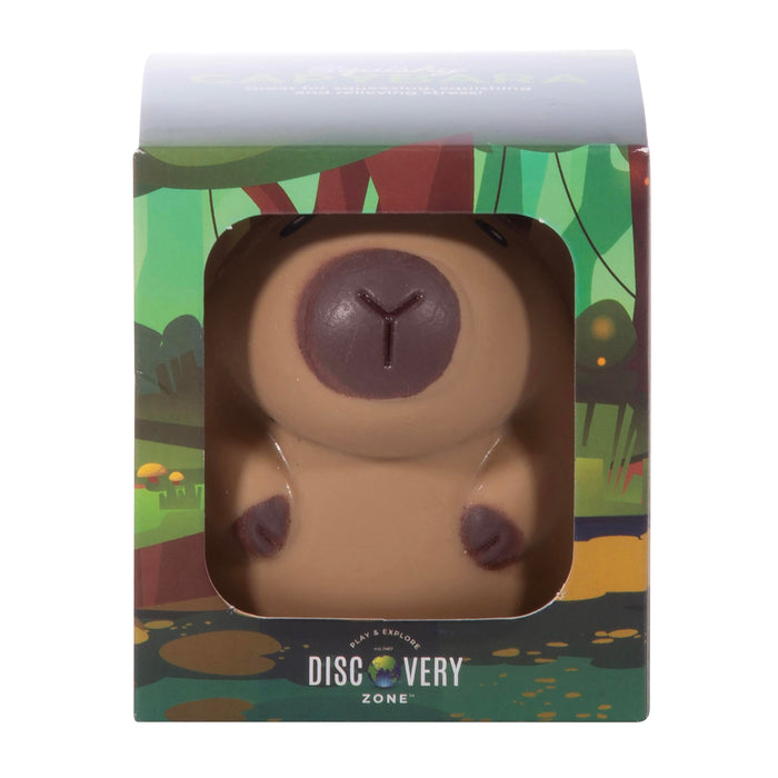 Discovery Zone | Squishy Capybara 12pcs Brown