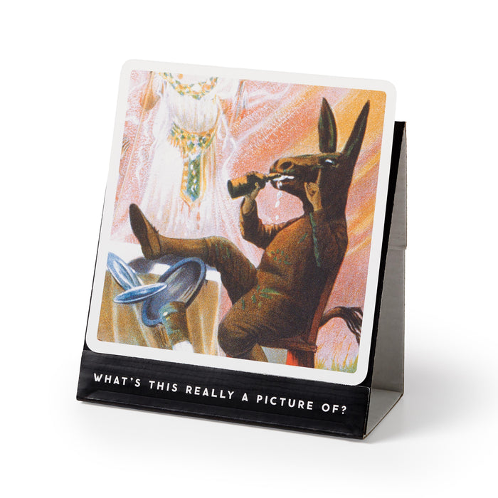 Brass Monkey | Oddly Correct Party Card Game Multi-Coloured Homing Instincts