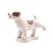 NPW | Pee My Plants Dog Watering Decoration Multi-Coloured