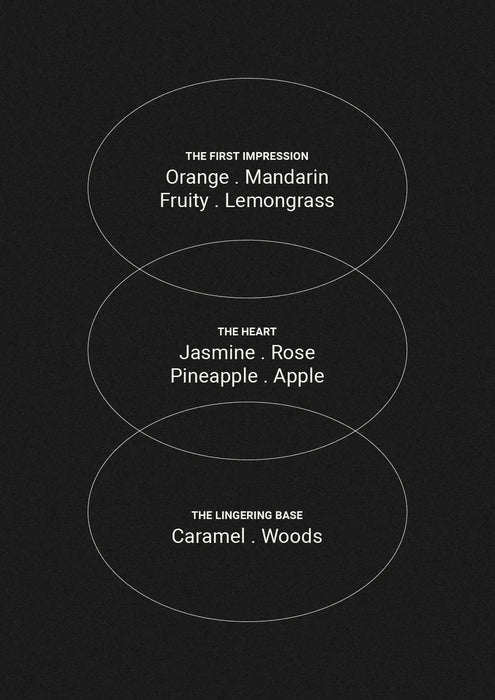The Aromatherapy Co | Lemongrass, Lime & Bergamot Scented Candle Homing Instincts