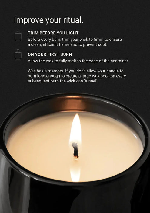 The Aromatherapy Co | Lemongrass, Lime & Bergamot Scented Candle Homing Instincts