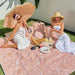 Annabel Trends | Picnic Cooler Bag Box Tan