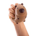 Discovery Zone | Squishy Capybara 12pcs Brown