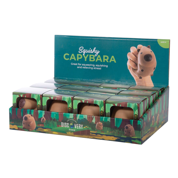 Discovery Zone | Squishy Capybara 12pcs Brown