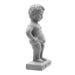 NPW | Pee My Plants Watering Decoration Grey