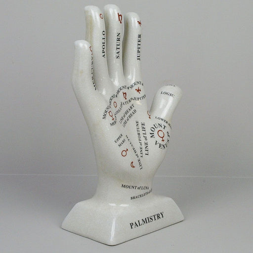Oshi | Palmistry Hand-Oshi-Homing Instincts