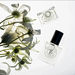 The Perfume Oil Company | Santal Roll-On Perfume-The Perfume Oil Company-Homing Instincts