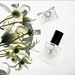 The Perfume Oil Company | Afrique Roll-On Perfume-The Perfume Oil Company-Homing Instincts