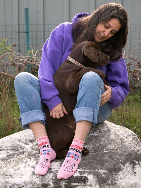 Blue Q | Puppy Power Socks-Homing Instincts-Homing Instincts