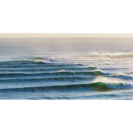 Destination Towels | Printed Towel-Destination Towels-Homing Instincts