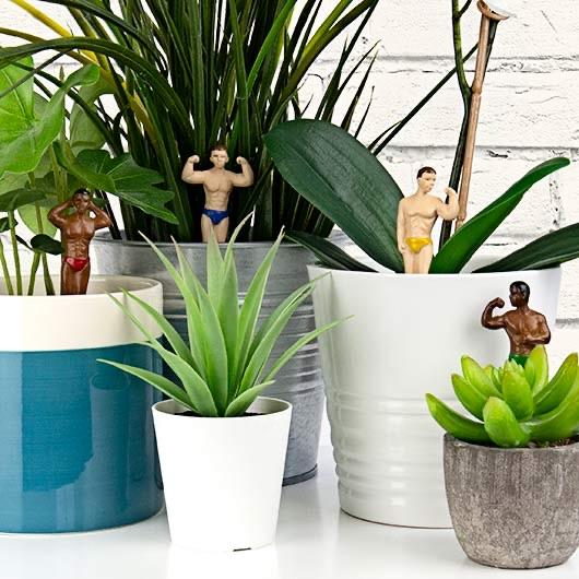 Gift Republic | Mini Plant Pot Hunks-Homing Instincts