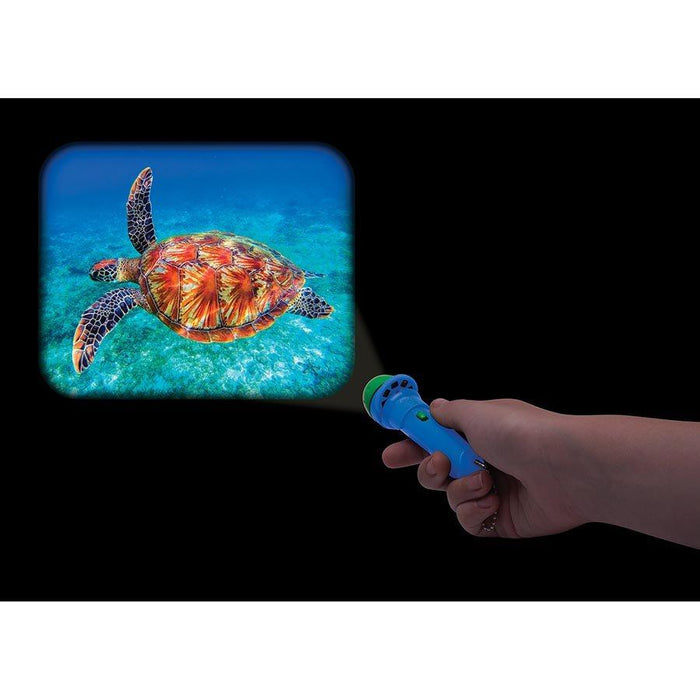 IS GIFT Torch Projector - Animal Kingdom-IS Gift-Homing Instincts
