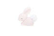 Mini baby bunny light-Homing Instincts-Homing Instincts