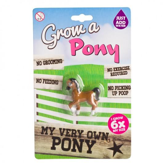 MDI | Grow a Pony-MDI-Homing Instincts