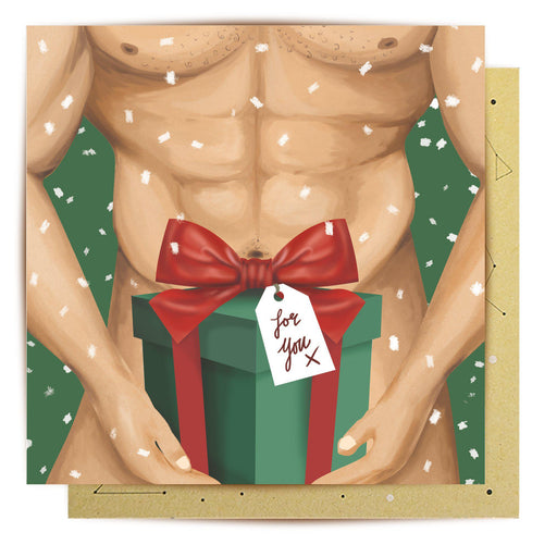 Greeting Card Christmas Package-La La Land-Homing Instincts