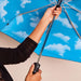 MoMA | Mini Umbrella-Until-Homing Instincts