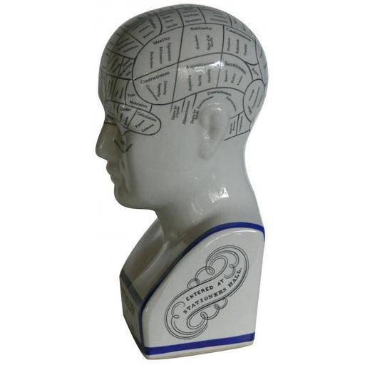 Oshi | Phrenology Head Large-Oshi-Homing Instincts