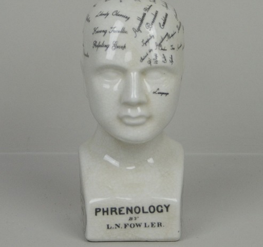 Oshi | Small Phrenology Head (14cm)-Oshi-Homing Instincts
