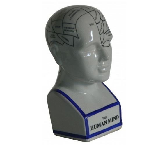 Oshi | The Human Mind (22cm)-Oshi-Homing Instincts