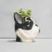 White Moose | Ceramic Planter Frenchie-Homing Instincts